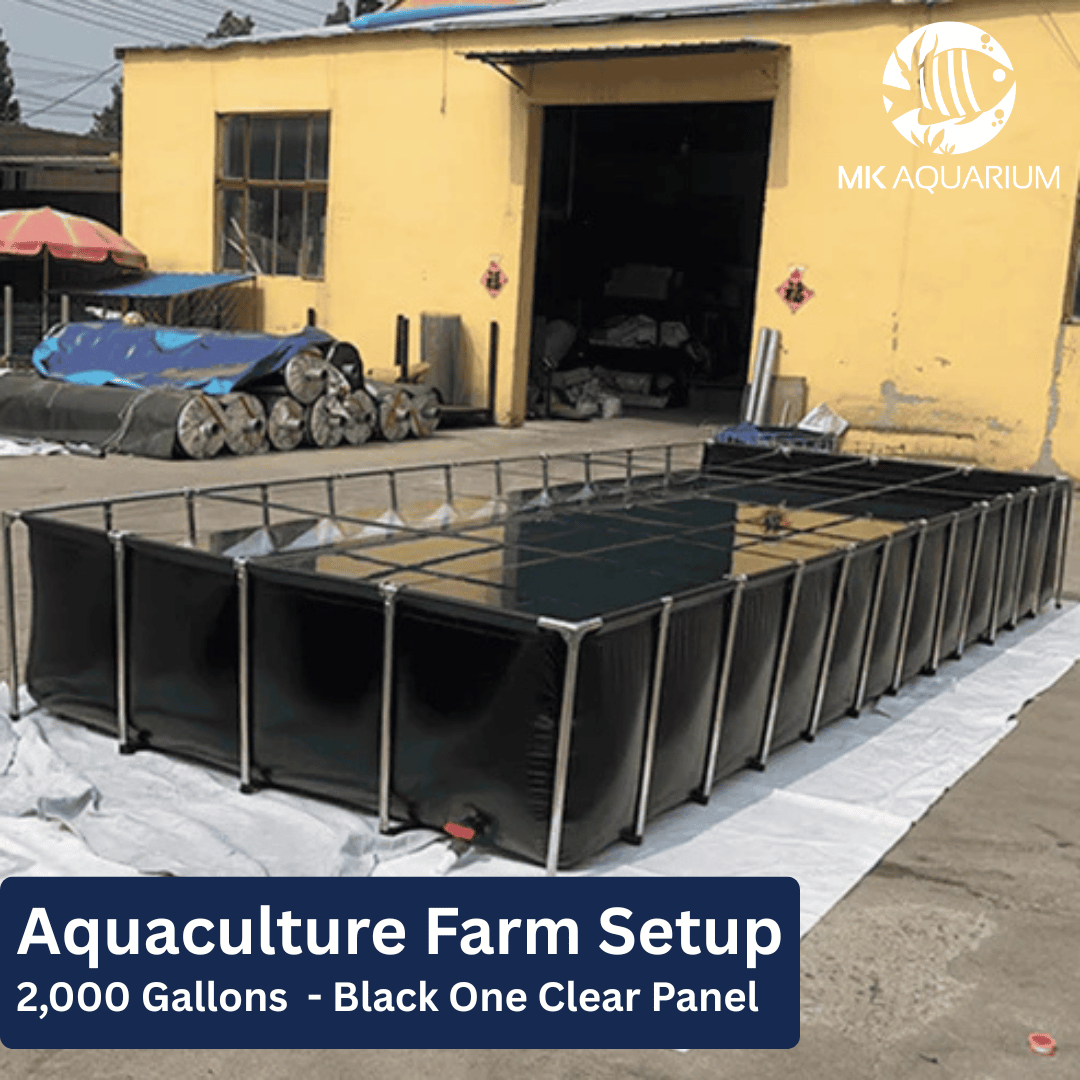 MK 2000 Gallon Clear Sides Above Ground Fish Pond, Koi & Aquaculture Tank, Large Aquarium (196.9 x 86.6 x 27.6 in)
