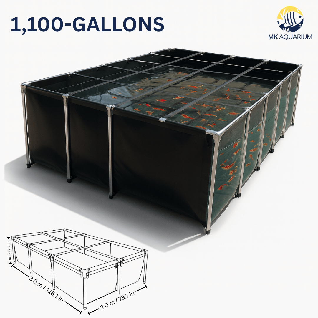extra large fish breeding box Fluval Hang On you can watch the mother fish spawning or fish fighting Aquarium Fish Breeding Box, Fish