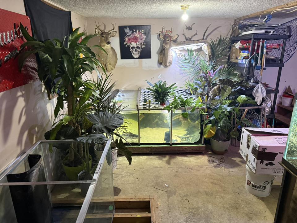 MK 160 Gallon Clear Sides Above Ground Fish Pond, Koi & Aquaculture Tank, Large Aquarium (59.1 x 25.6 x 23.6 in)