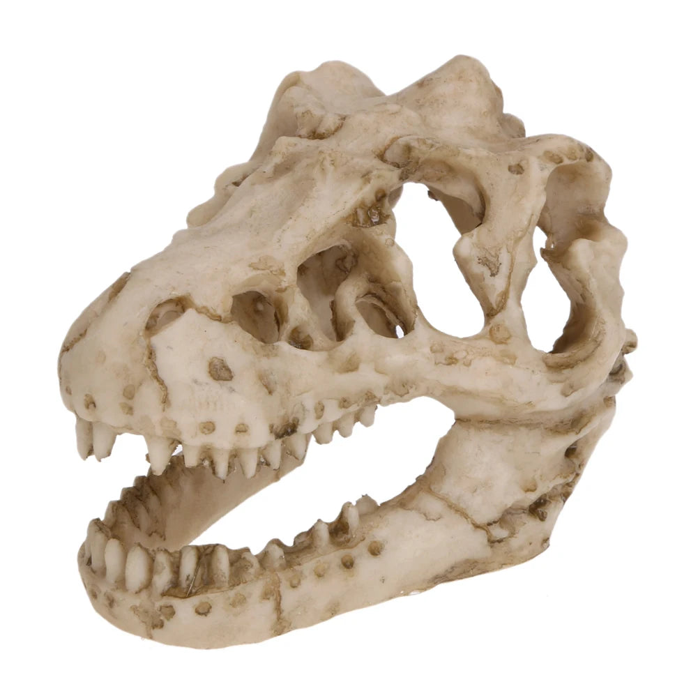 Resin Crocodile Skull Aquarium Decoration — Mini Dinosaur Fossil Ornament for Fish Tanks & Terrariums
