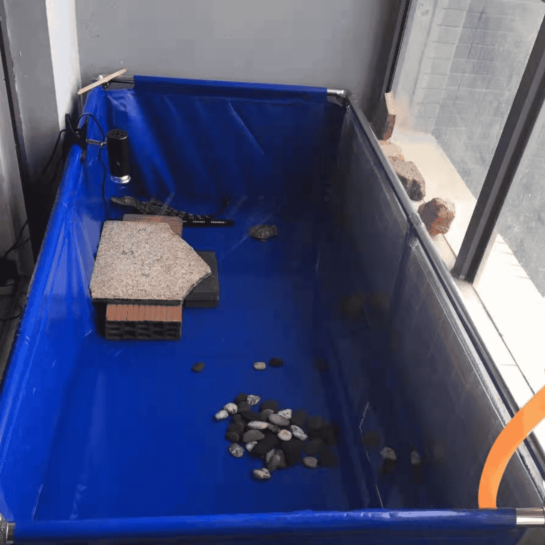 160 Gallon Heavy-Duty Fish Breeding Tank – Large Aquarium for Aquaculture (59.1in × 25.6in × 23.6in)