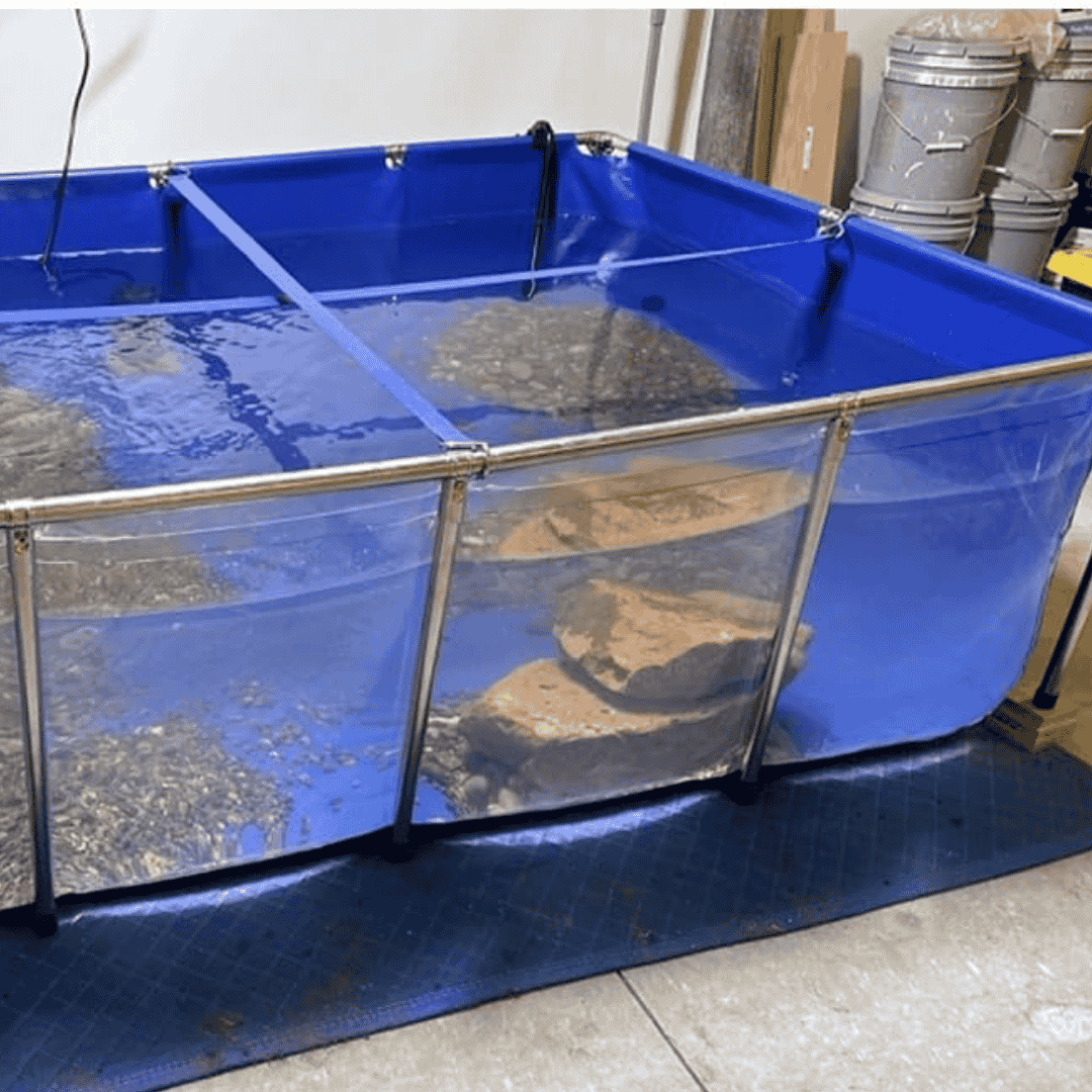 1100 Gallon Heavy-Duty Fish Breeding Tank – Large Aquarium for Aquaculture (118.1in × 78.7in × 27.6in)