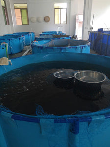 180-300 Gallons Round Aquaculture Aquaponic Breeding Fish Farms Aquarium Pond Fish Tank