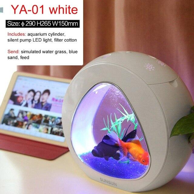 NEW Unique Mini Fish Bowls Aquarium