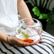 NEW Unique Mini Fish Bowls Aquarium