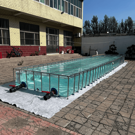 Ornamental Fish Breeding Tanks: Commercial Tank Ideas for Breeders and Suppliers