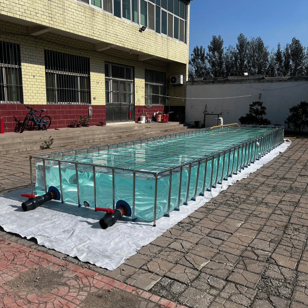 What Is a Grow-Out Tank? A Practical Guide for Fish Farms and Aquaculture Projects
