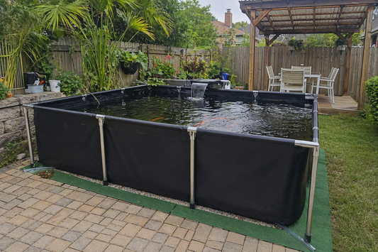 How to Build a Better Backyard Fish Pond Without Digging Up Your Yard