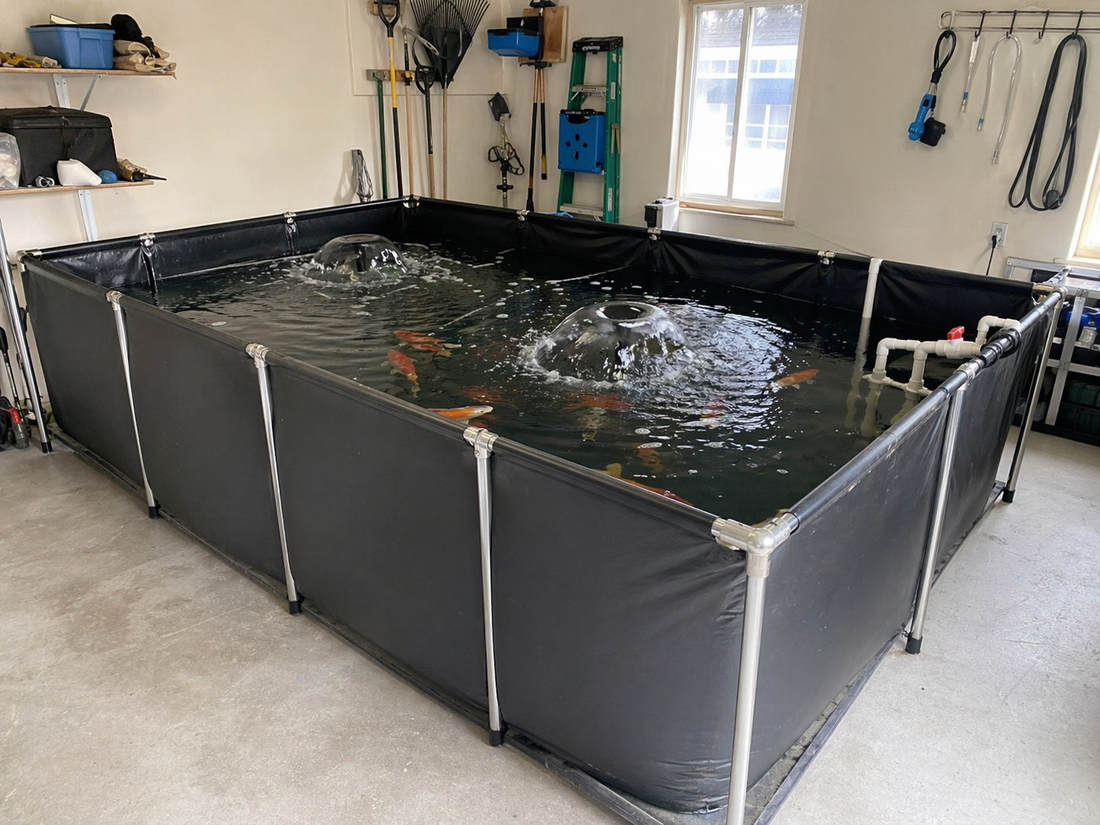 DIY Pond vs Modular Fish Pond Tank: Which Saves More Money Long Term?