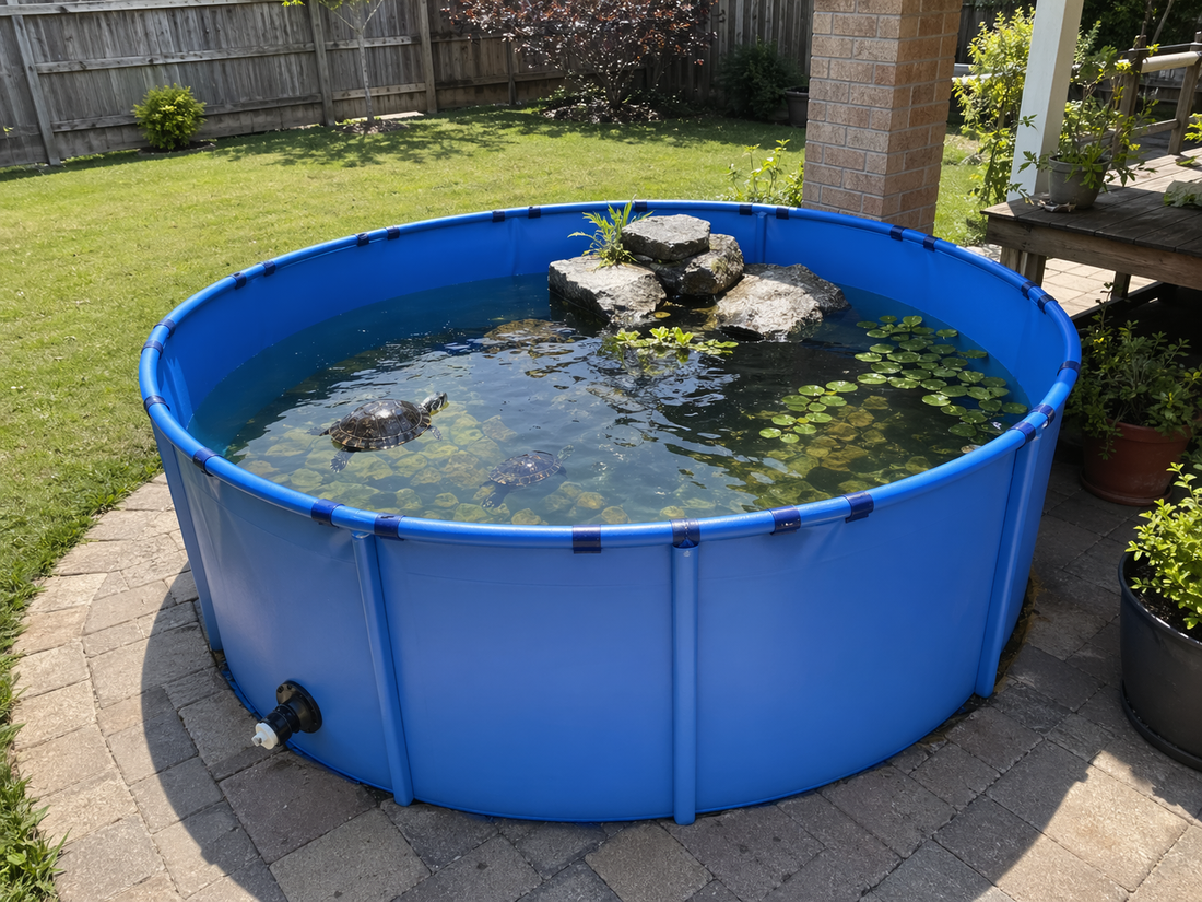 How Show Tanks Are Used for Display, Sales, and Fish Presentation
