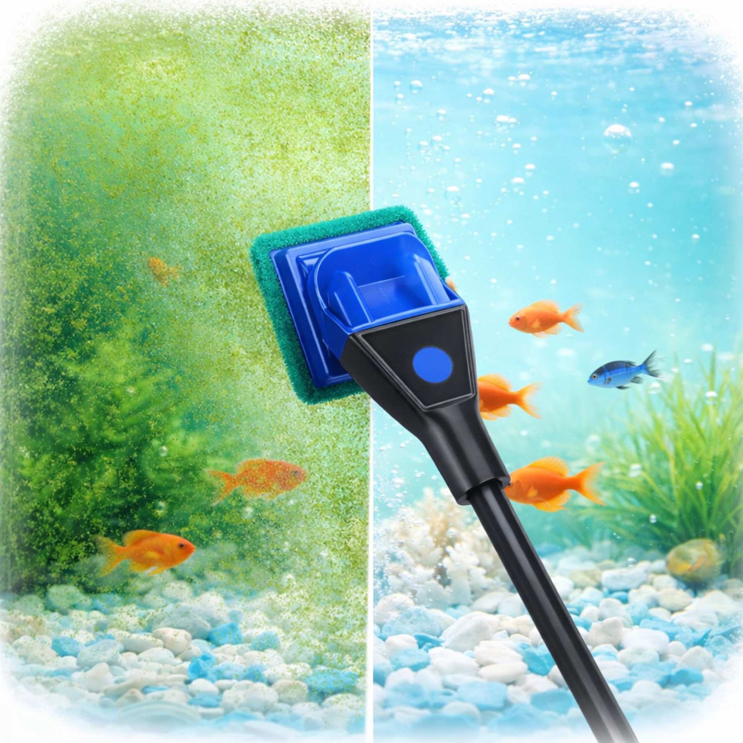 Water Maintenance & Cleaning