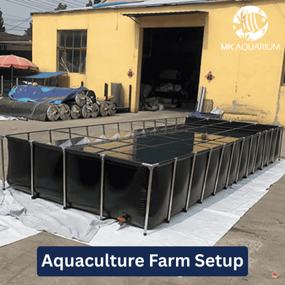 MK 1500 Gallon Heavy-Duty Above Ground Fish Pond, All-Clear Koi & Aquaculture Tank, Large Aquarium (157.5 x 78.7 x 27.6 in)