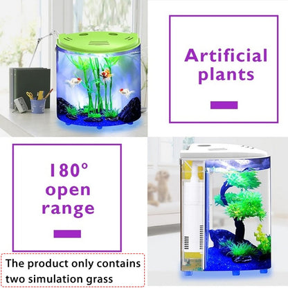 Acrylic Fish Tank with LED Light