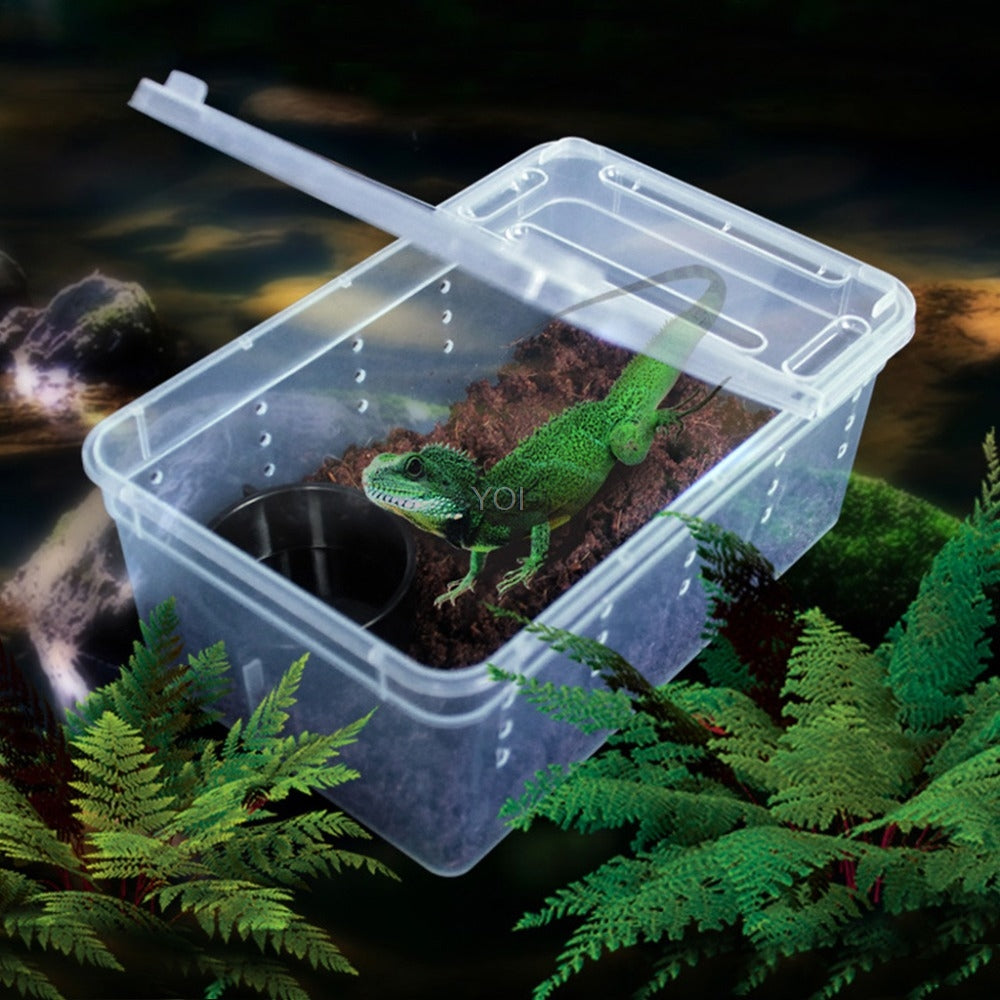 Transparent Plastic Reptile Feeding Box