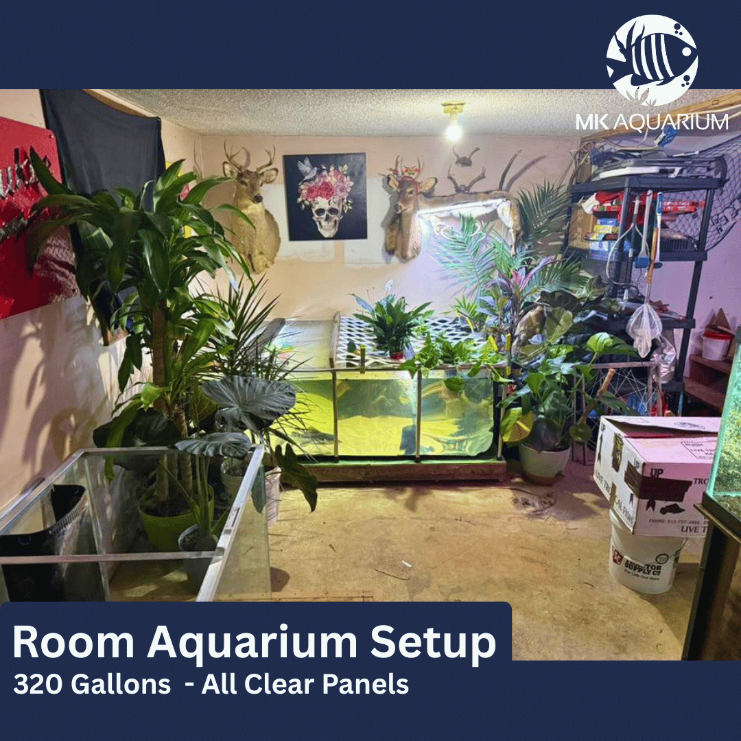 MK 320 Gallon Clear Sides Above Ground Fish Pond, Koi & Aquaculture Tank, Large Aquarium (78.7 x 39.4 x 23.6 in)
