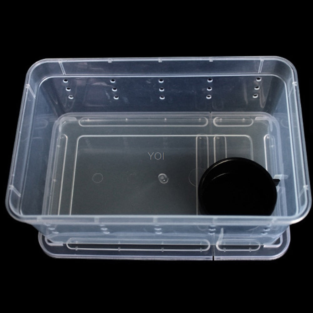 Transparent Plastic Reptile Feeding Box