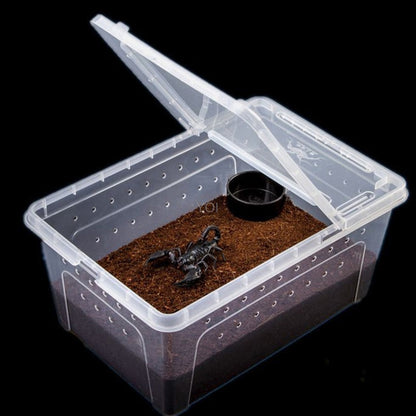 Transparent Plastic Reptile Feeding Box
