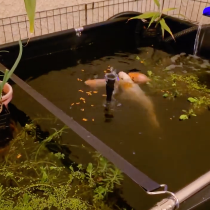 MK 160 Gallon Heavy-Duty Above Ground Fish Pond, Aquaculture & Fish Breeding Tank, Large Aquarium (59.1 x 25.6 x 23.6 in)
