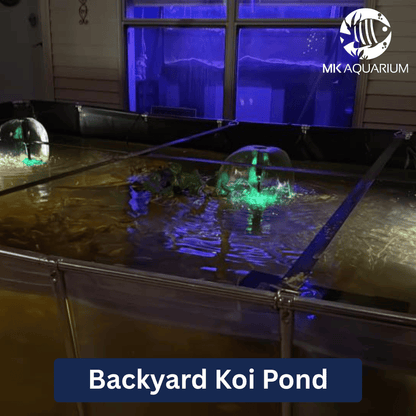 MK 1500 Gallon Heavy-Duty Above Ground Fish Pond, All-Clear Koi & Aquaculture Tank, Large Aquarium (157.5 x 78.7 x 27.6 in)