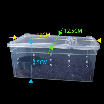 Transparent Plastic Reptile Feeding Box