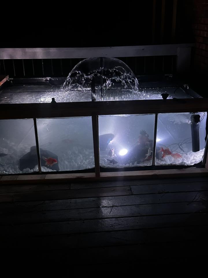 MK 500 Gallon Heavy-Duty Above Ground Fish Pond, Aquaculture & Fish Breeding Tank, Large Aquarium (78.7 x 59.1 x 23.6 in)