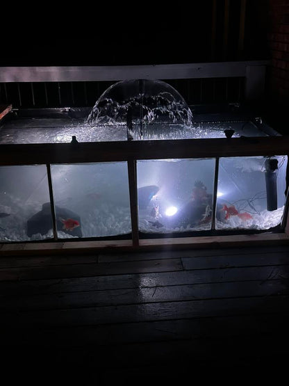 MK 500 Gallon Heavy-Duty Above Ground Fish Pond, Aquaculture & Fish Breeding Tank, Large Aquarium (78.7 x 59.1 x 23.6 in)