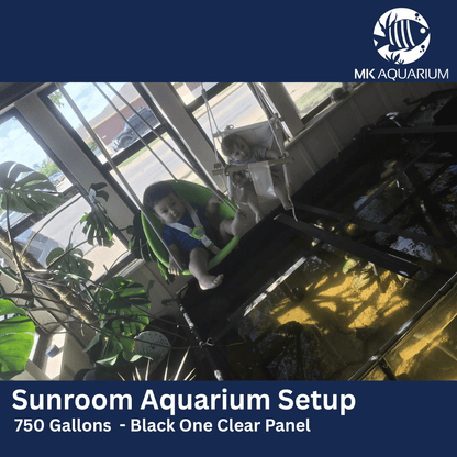 MK 320 Gallon Clear Sides Above Ground Fish Pond, Koi & Aquaculture Tank, Large Aquarium (78.7 x 39.4 x 23.6 in)
