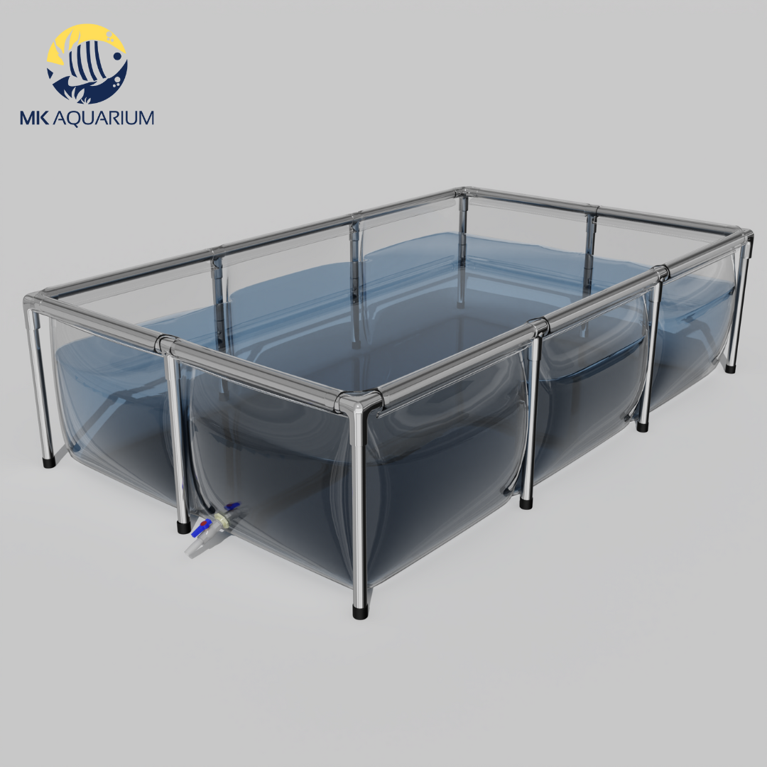 1100 Gallons Capacity Clear Aquaculture Koi Tank