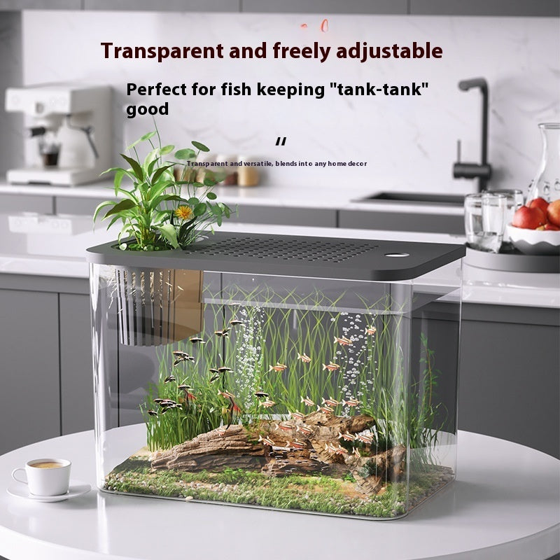 Betta Fish Tank - Medium Size