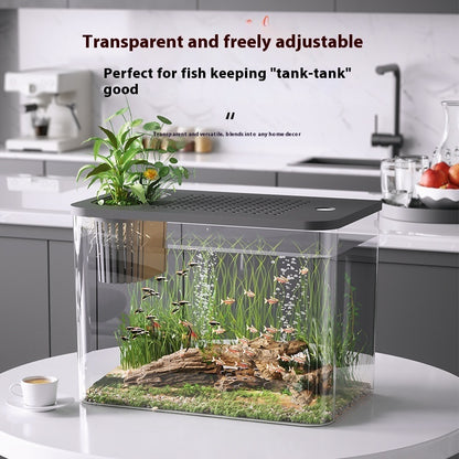 Betta Fish Tank - Medium Size