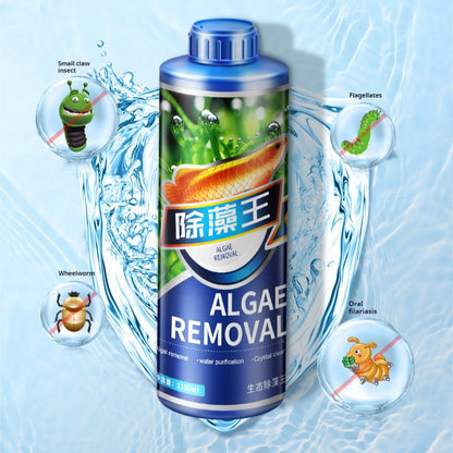Ecological Algaecide for Aquariums