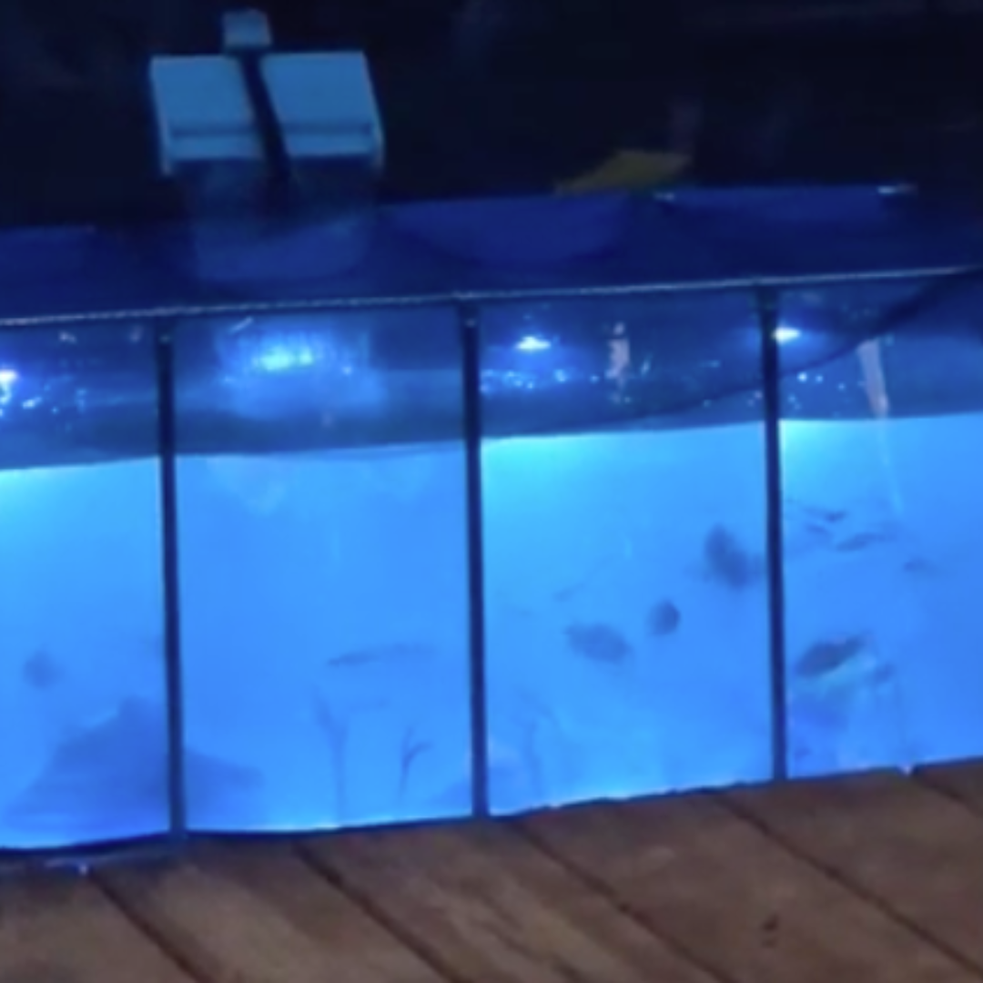 MK 160 Gallon Heavy-Duty Above Ground Fish Pond, Aquaculture & Fish Breeding Tank, Large Aquarium (59.1 x 25.6 x 23.6 in)