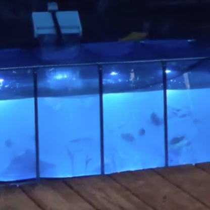 MK 160 Gallon Heavy-Duty Above Ground Fish Pond, Aquaculture & Fish Breeding Tank, Large Aquarium (59.1 x 25.6 x 23.6 in)