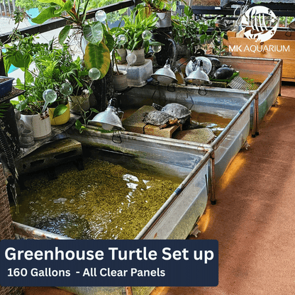 MK 320 Gallon Clear Sides Above Ground Fish Pond, Koi & Aquaculture Tank, Large Aquarium (78.7 x 39.4 x 23.6 in)