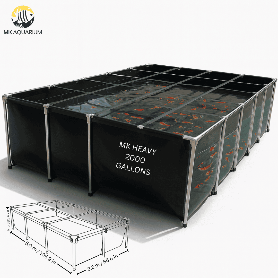 2000 Gallon Heavy-Duty Fish Breeding Tank – Large Aquarium for Aquaculture (196.9in × 86.6in × 27.6in)