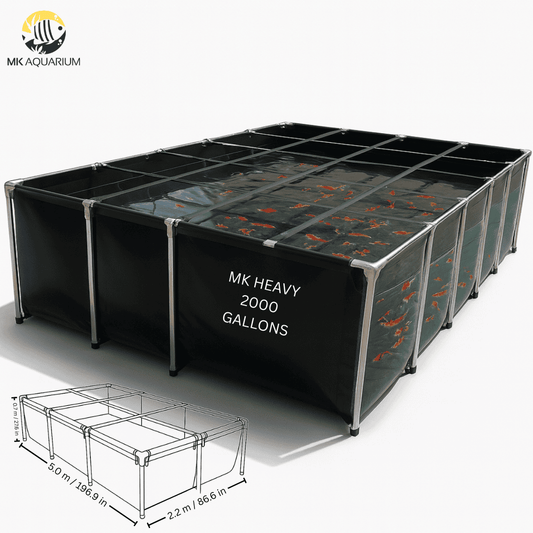 2000 Gallon Heavy-Duty Fish Breeding Tank – Large Aquarium for Aquaculture (196.9in × 86.6in × 27.6in)