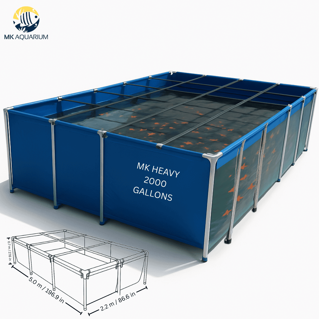 2000 Gallon Heavy-Duty Fish Breeding Tank – Large Aquarium for Aquaculture (196.9in × 86.6in × 27.6in)