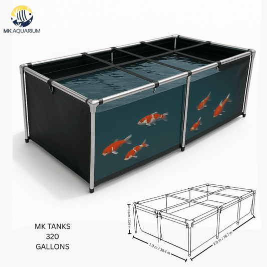 320 Gallon Heavy-Duty Fish Breeding Tank – Large Aquarium for Aquaculture (78.7in × 39.4in × 23.6in)