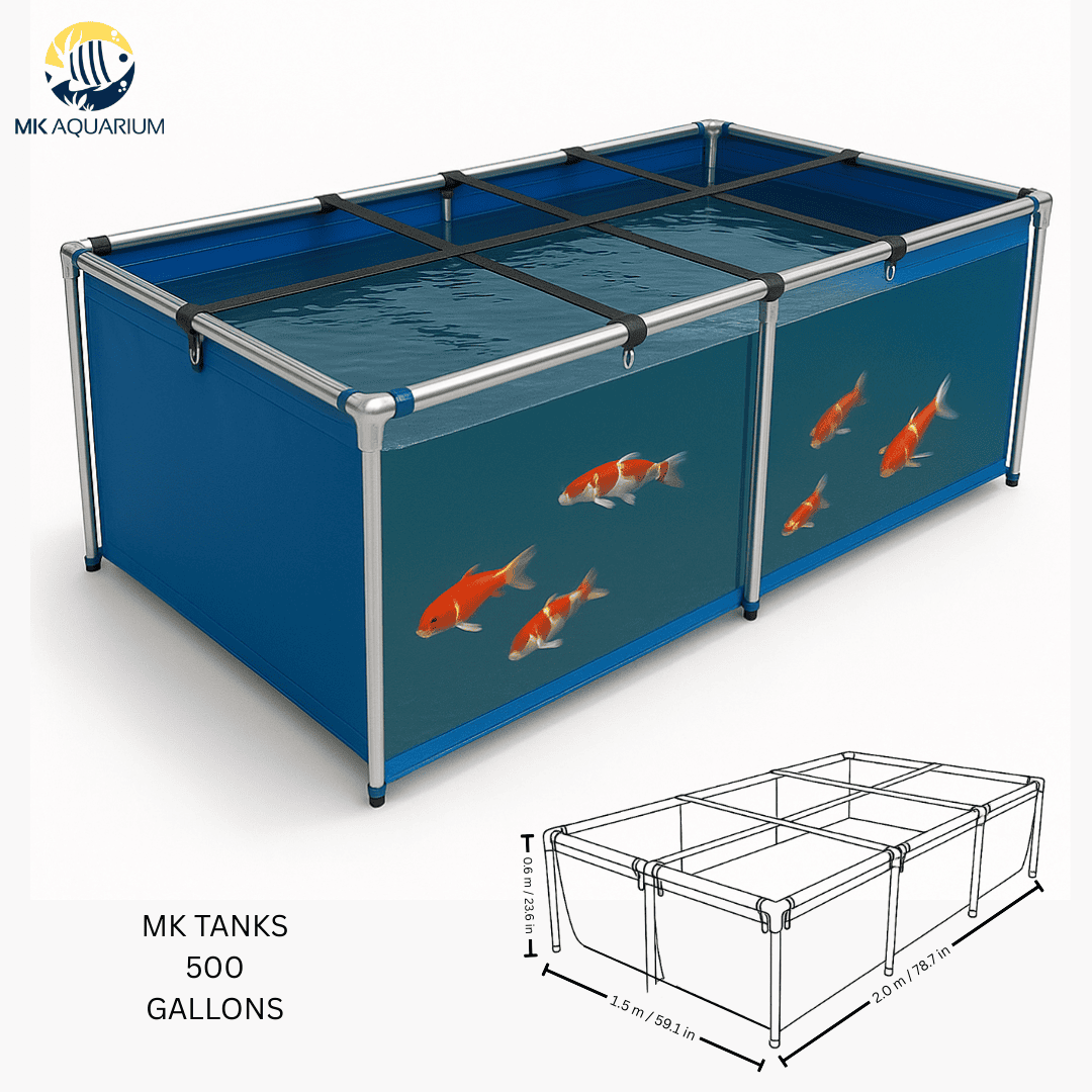 500 Gallon Heavy-Duty Fish Breeding Tank – Large Aquarium for Aquaculture (78.7in × 59.1in × 23.6in)