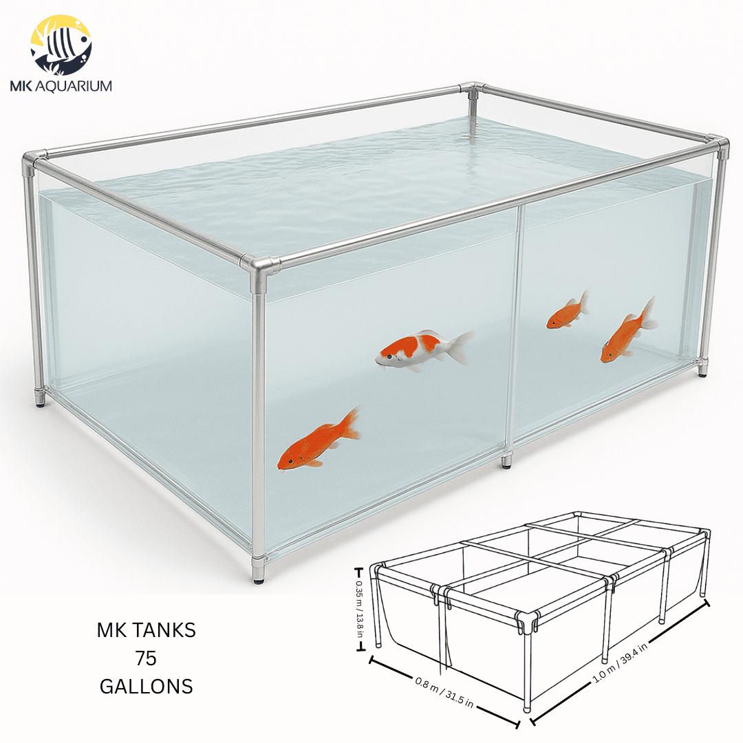 75 Gallon Clear Sides Koi Tank – Large Aquarium for Aquaculture (39.4in × 31.5in × 13.8in)