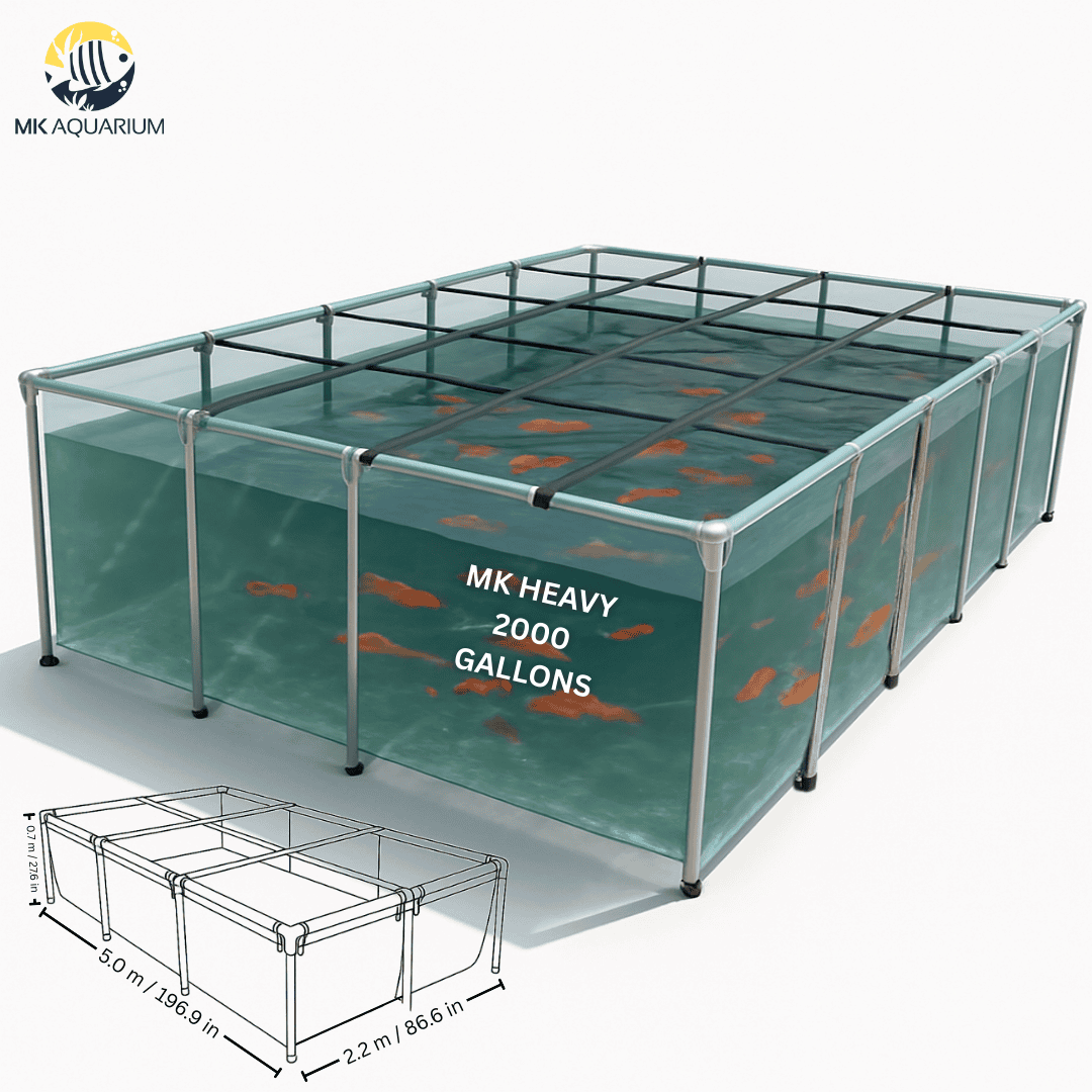 2000 Gallon Clear Sides Koi Tank – Large Aquarium for Aquaculture (196.9in × 86.6in × 27.6in)