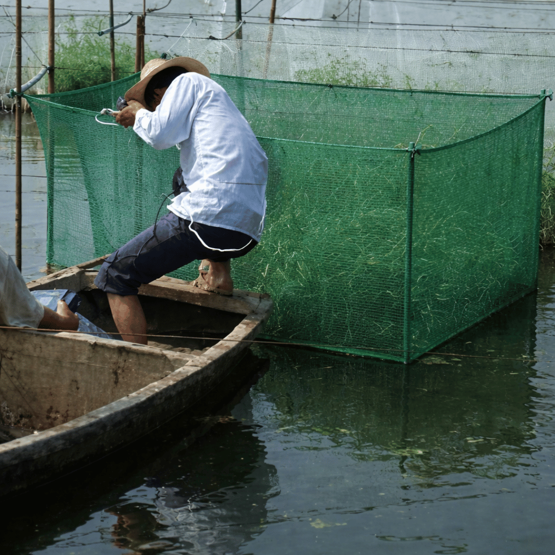 Netting Mesh for Fish Pond, Garden, Poultry, and Aquaculture