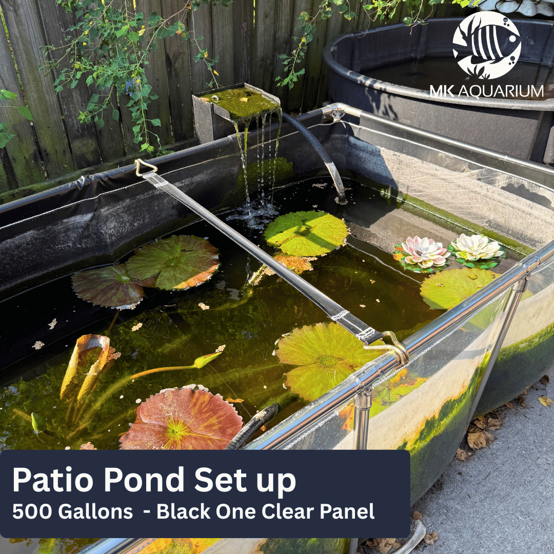 MK 320 Gallon Clear Sides Above Ground Fish Pond, Koi & Aquaculture Tank, Large Aquarium (78.7 x 39.4 x 23.6 in)