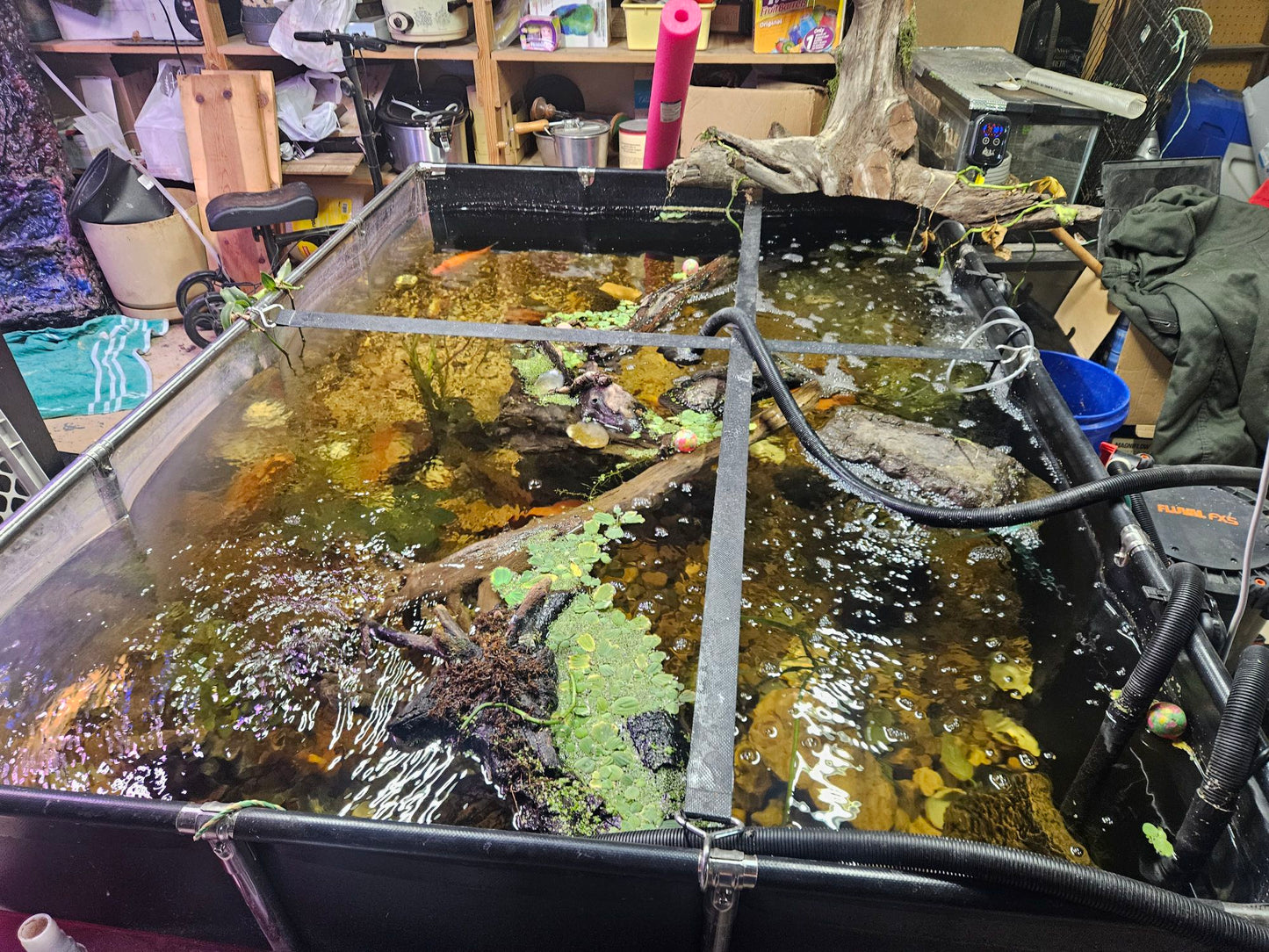 MK 160 Gallon Heavy-Duty Above Ground Fish Pond, Aquaculture & Fish Breeding Tank, Large Aquarium (59.1 x 25.6 x 23.6 in)