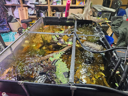 MK 160 Gallon Heavy-Duty Above Ground Fish Pond, Aquaculture & Fish Breeding Tank, Large Aquarium (59.1 x 25.6 x 23.6 in)