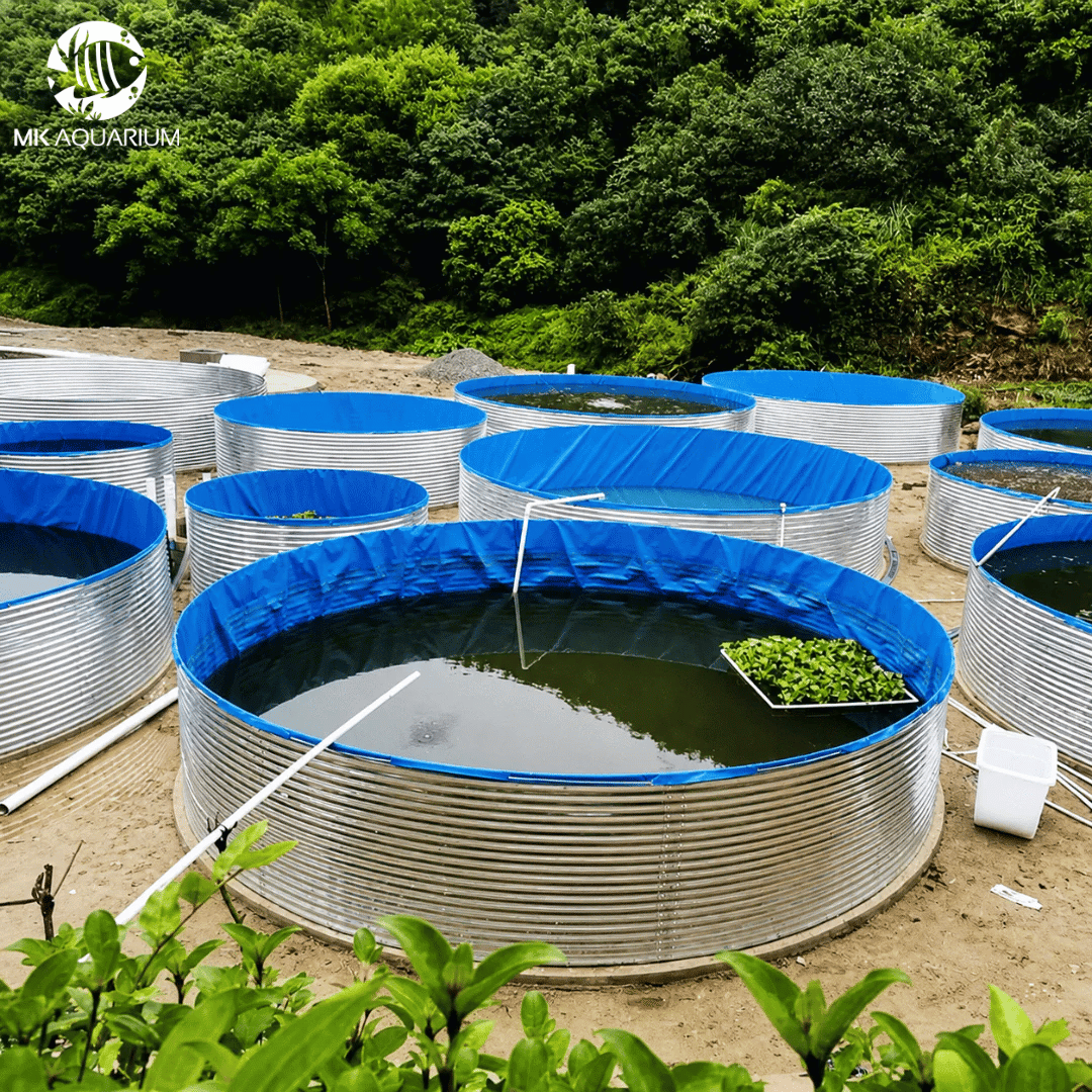 Round Galvanized Iron Sheet Fish Farming Tank