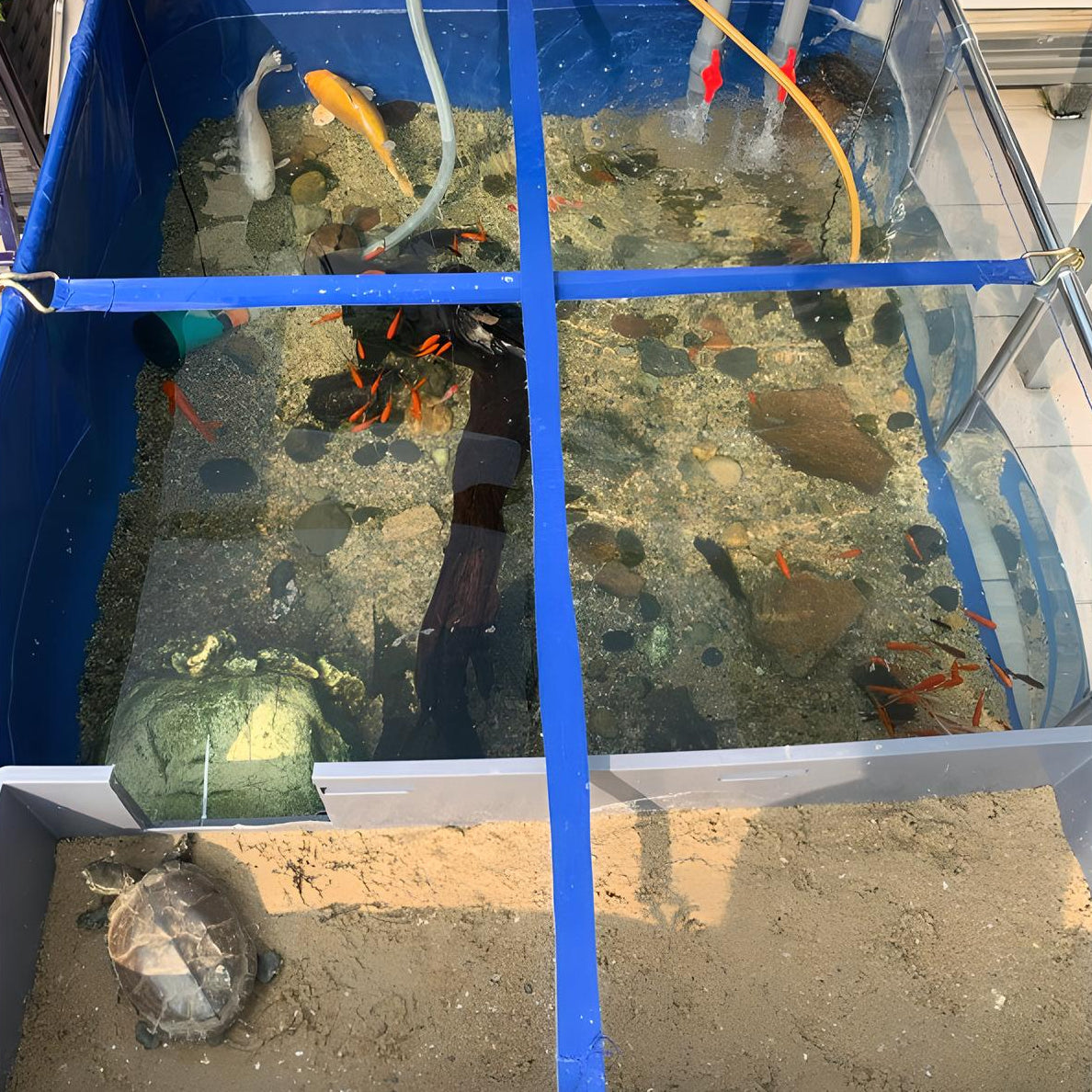160 Gallons Heavy-Duty Aquaculture Fish Breeding Tank