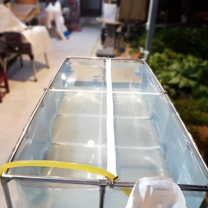 75-500 Gallons Clear Portable Koi Show Tank | Ideal for Breeding, Aquaponics, and Aquaculture