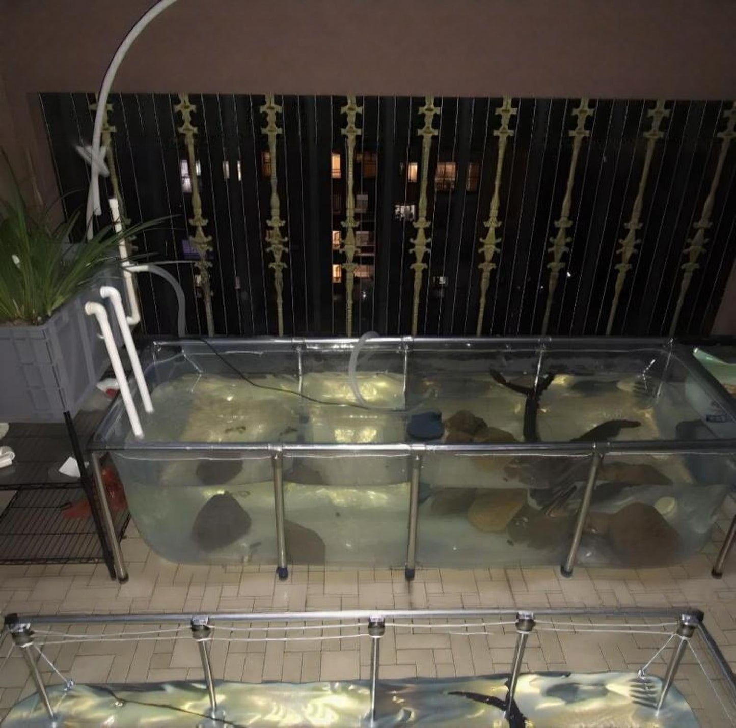 1100 Gallons Capacity Clear Aquaculture Koi Tank