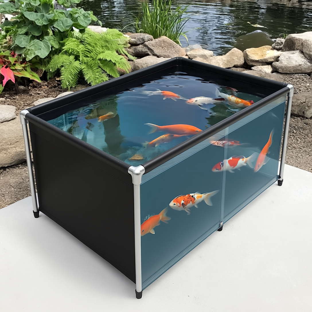 75-gallon black aquaculture tank with one clear viewing side showing koi fish placed beside a koi pond with decorative plants